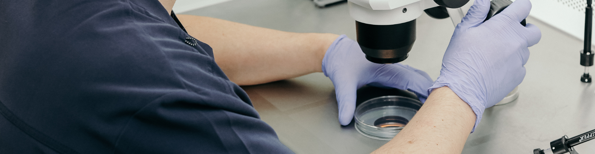 ინ ვიტრო